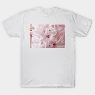 Hyacinthus orientalis  &#39;China Pink&#39;  Hyacinth T-Shirt